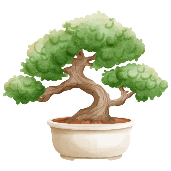 bambus orchidee verblht Bambus Orchidee Make Upz Purple im Sizo Pot  vielgrn