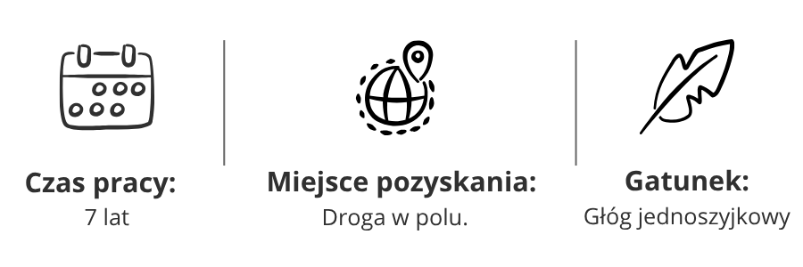 ikonki-glog